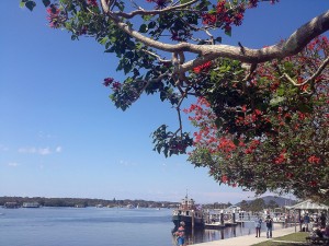 Tea Garden Coral Trees