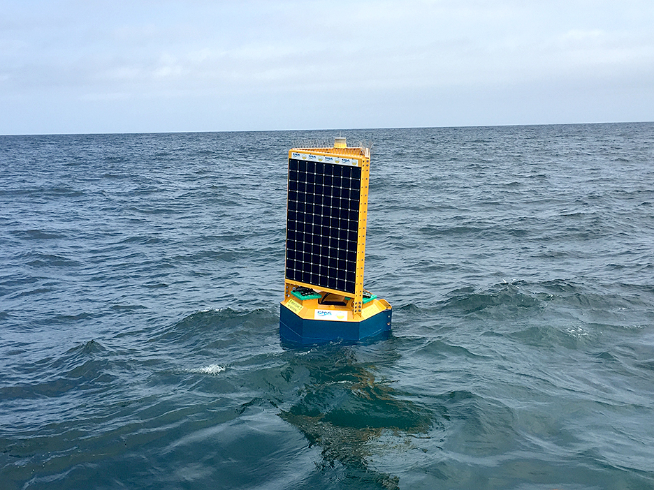 Australian developed Clever Buoy with its shark detecting technology could expand globally if research project off Port Stephens proves successful. Photo supplied by Shark Mitigation Systems