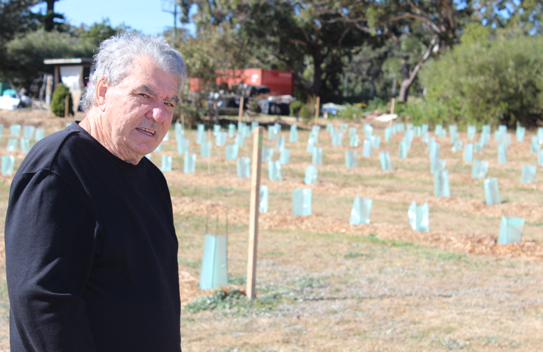 Gerry Mohan overlooking the newly planted koala trees at the Anna Bay property.