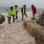 Stolen Hay Bales at a Hawks Nest beach